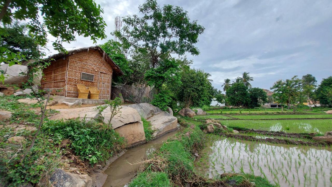 Sunrise Guest House & Restaurant Hampi Esterno foto