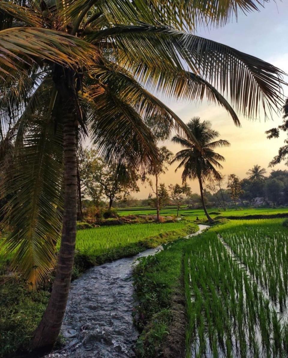 Sunrise Guest House & Restaurant Hampi Esterno foto