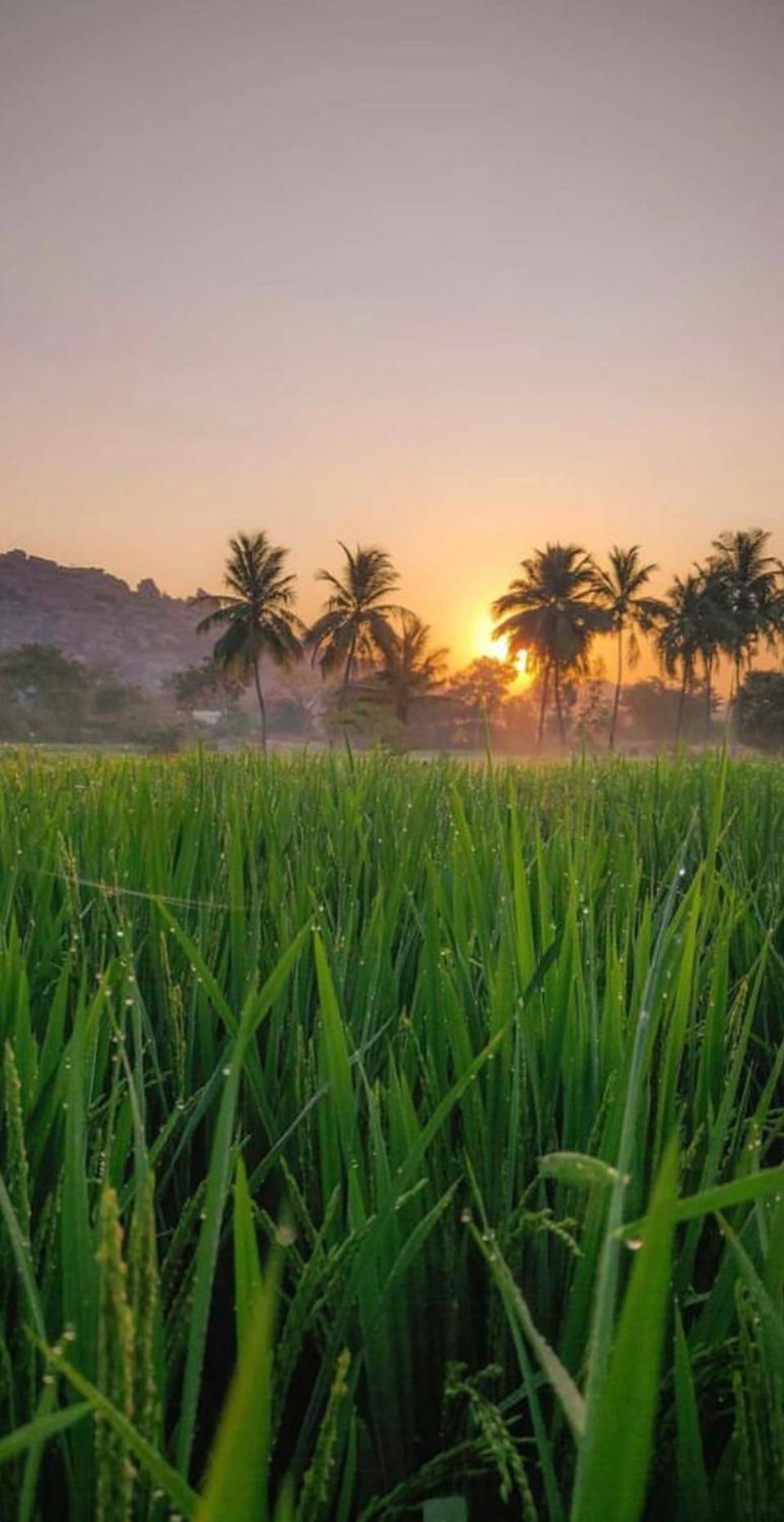 Sunrise Guest House & Restaurant Hampi Esterno foto
