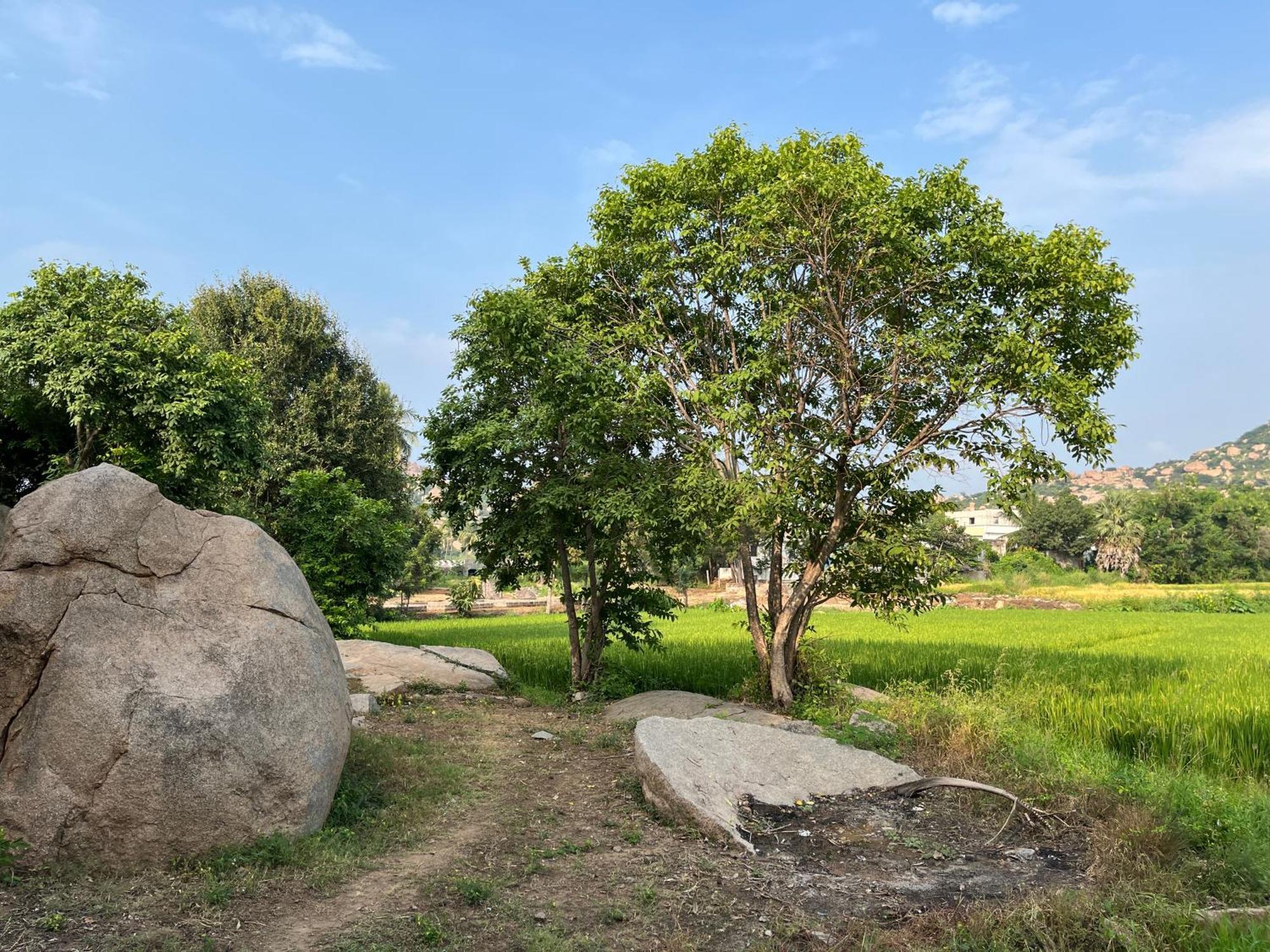 Sunrise Guest House & Restaurant Hampi Esterno foto