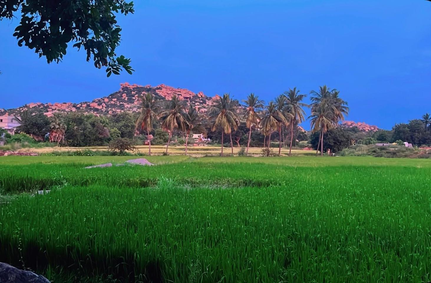 Sunrise Guest House & Restaurant Hampi Esterno foto