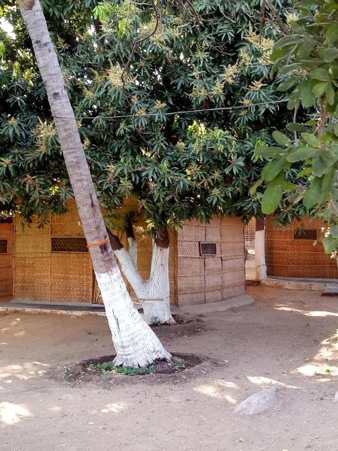Sunrise Guest House & Restaurant Hampi Esterno foto