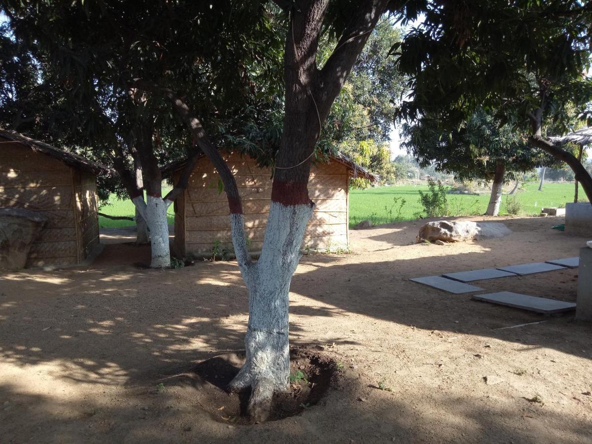 Sunrise Guest House & Restaurant Hampi Esterno foto